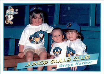 1997 Grandstand Grays Harbor Gulls #NNO Junior Gulls Club Front