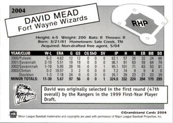 2004 Grandstand Fort Wayne Wizards #NNO David Mead Back