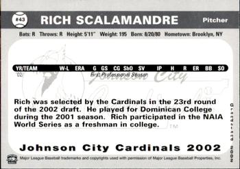 2002 Grandstand Johnson City Cardinals #43 Rich Scalamandre Back