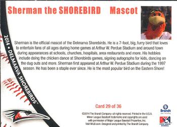 2014 Brandt Delmarva Shorebirds #29 Sherman the Shorebird Back