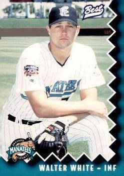 1997 Best Brevard County Manatees #29 Walter White Front