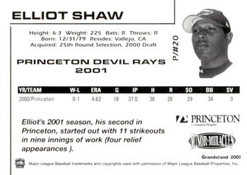 2001 Grandstand Princeton Devil Rays #NNO Elliott Shaw Back