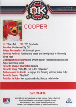 2014 Brandt Oklahoma City RedHawks #33 Cooper Back