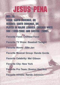 2001 Dunkin' Donuts Pawtucket Red Sox #NNO Jesus Pena Back