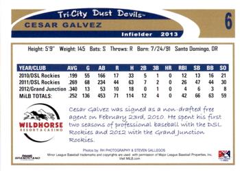 2013 Grandstand Tri-City Dust Devils #NNO Cesar Galvez Back