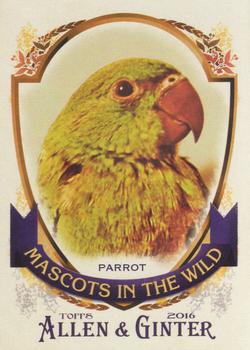 2016 Topps Allen & Ginter - Mascots In The Wild #MIW-9 Parrot Front