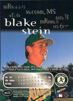1999 SkyBox Thunder #23 Blake Stein Back