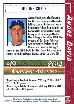 2014 Grandstand Northwest Arkansas Naturals #NNO Andre David Back