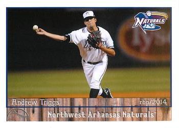 2014 Grandstand Northwest Arkansas Naturals #NNO Andrew Triggs Front