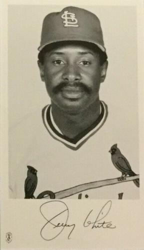 1986 St. Louis Cardinals Photocards #NNO Jerry White Front