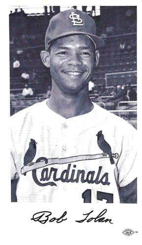 1967 St. Louis Cardinals Photocards #NNO Bob Tolan Front