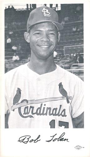 1966 St. Louis Cardinals Photocards #NNO Bob Tolan Front
