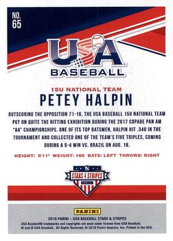 2018 Panini USA Baseball Stars & Stripes #65 Petey Halpin Back