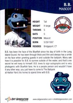 2017 Bridgeport Bluefish #30 B.B. Back