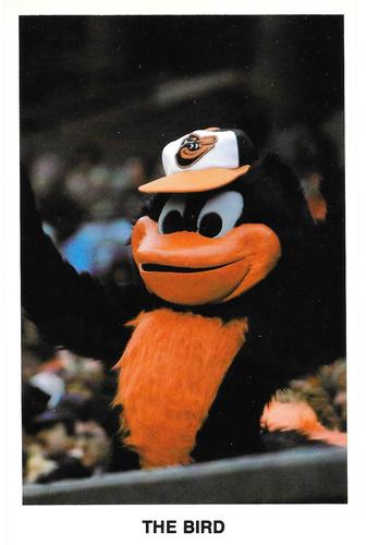 1979 Baltimore Orioles Photocards #NNO The Bird Front