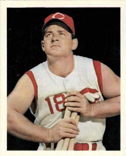 1982 G.S. Gallery All-Time Greats #17 Ted Kluszewski Front