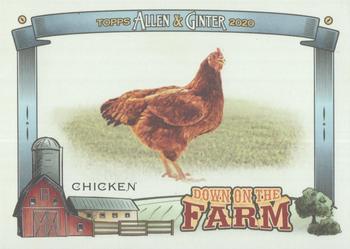 2020 Topps Allen & Ginter - Down on the Farm #DF-CH Chicken Front