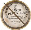1896-98 Whitehead & Hoag/Cameo Pepsin Gum Pins (PE4) #NNO Tom Delahanty Back