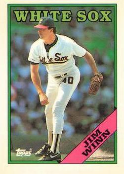 1988 Topps - Collector's Edition (Tiffany) #688 Jim Winn Front