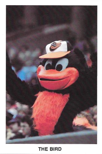 1983 Baltimore Orioles Postcards #NNO The Bird Front
