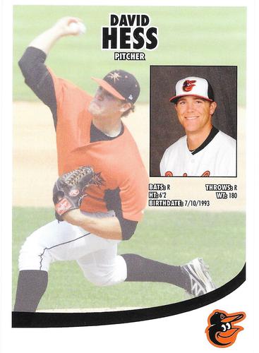 2015 Baltimore Orioles Photocards #NNO David Hess Back