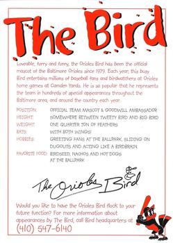 2006 Baltimore Orioles Photocards #NNO The Bird Back