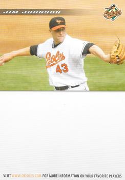 2008 Baltimore Orioles Photocards #NNO Jim Johnson Back