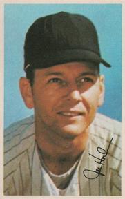 1969 MLB PhotoStamps #NNO Joe Horlen Front