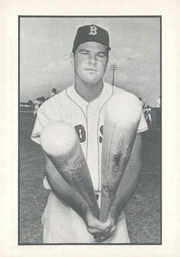 1981 Boston Globe Boston Red Sox #85 Tony Horton Front