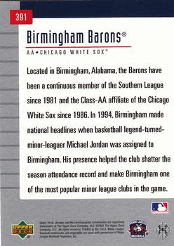 2002 Upper Deck Minor League #391 Birmingham Barons Back