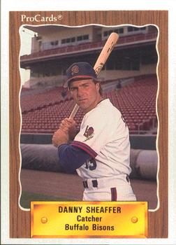 1990 ProCards #377 Danny Sheaffer Front