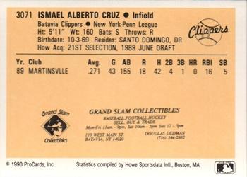 1990 ProCards #3071 Ismael Cruz Back