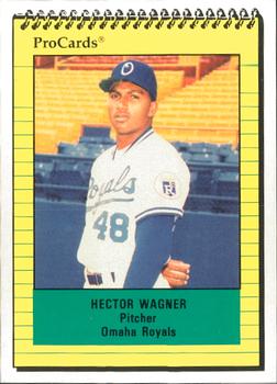 1991 ProCards #1036 Hector Wagner Front