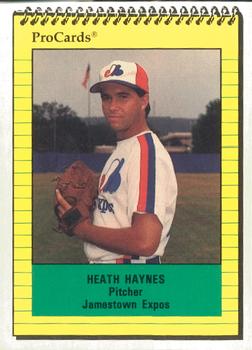 1991 ProCards #3538 Heath Haynes Front