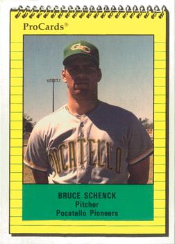 1991 ProCards #3781 Bruce Schenck Front