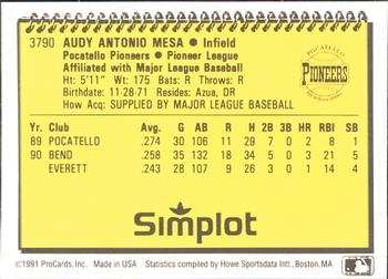 1991 ProCards #3790 Audy Mesa Back