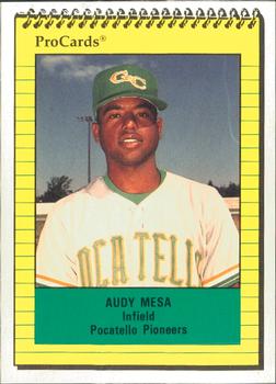 1991 ProCards #3790 Audy Mesa Front