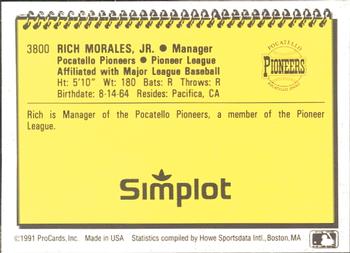 1991 ProCards #3800 Rich Morales Back