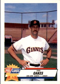 1993 Fleer ProCards #29 Todd Oakes Front