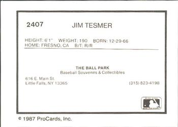 1987 ProCards #2407 Jim Tesmer Back