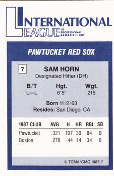 1987 TCMA International League All-Stars #7 Sam Horn Back