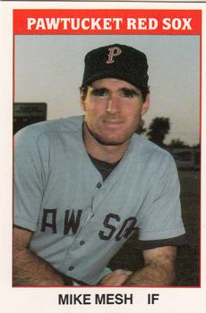 1987 TCMA Pawtucket Red Sox #15 Mike Mesh Front