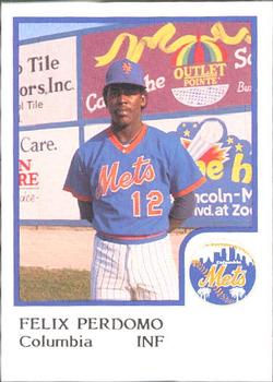1986 ProCards Columbia Mets #19 Felix Perdomo Front