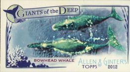 2012 Topps Allen & Ginter - Mini Giants of the Deep #GD-6 Bowhead Whale Front