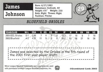 2003 Grandstand Bluefield Orioles #NNO James Johnson Back