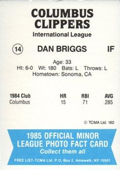 1985 TCMA Columbus Clippers #14 Dan Briggs Back