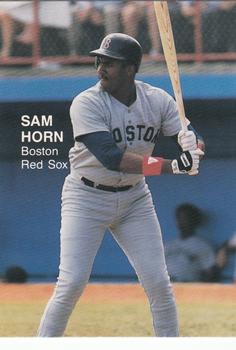 1987 Rookies (Cartoon Back, unlicensed) #26 Sam Horn Front