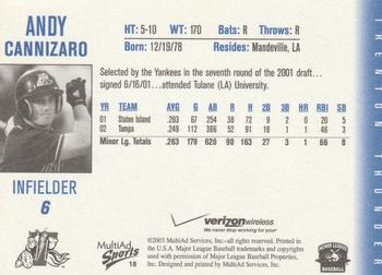 2003 MultiAd Trenton Thunder #18 Andy Cannizaro Back