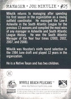 2014 Choice Myrtle Beach Pelicans #1 Joe Mikulik Back