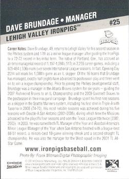 2014 Choice Lehigh Valley IronPigs #25 Dave Brundage Back